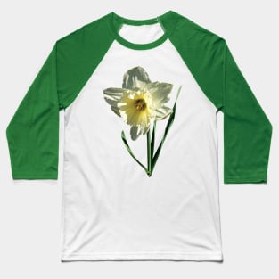 Daffodils - White Daffodil Baseball T-Shirt